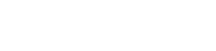 Main Background Spider